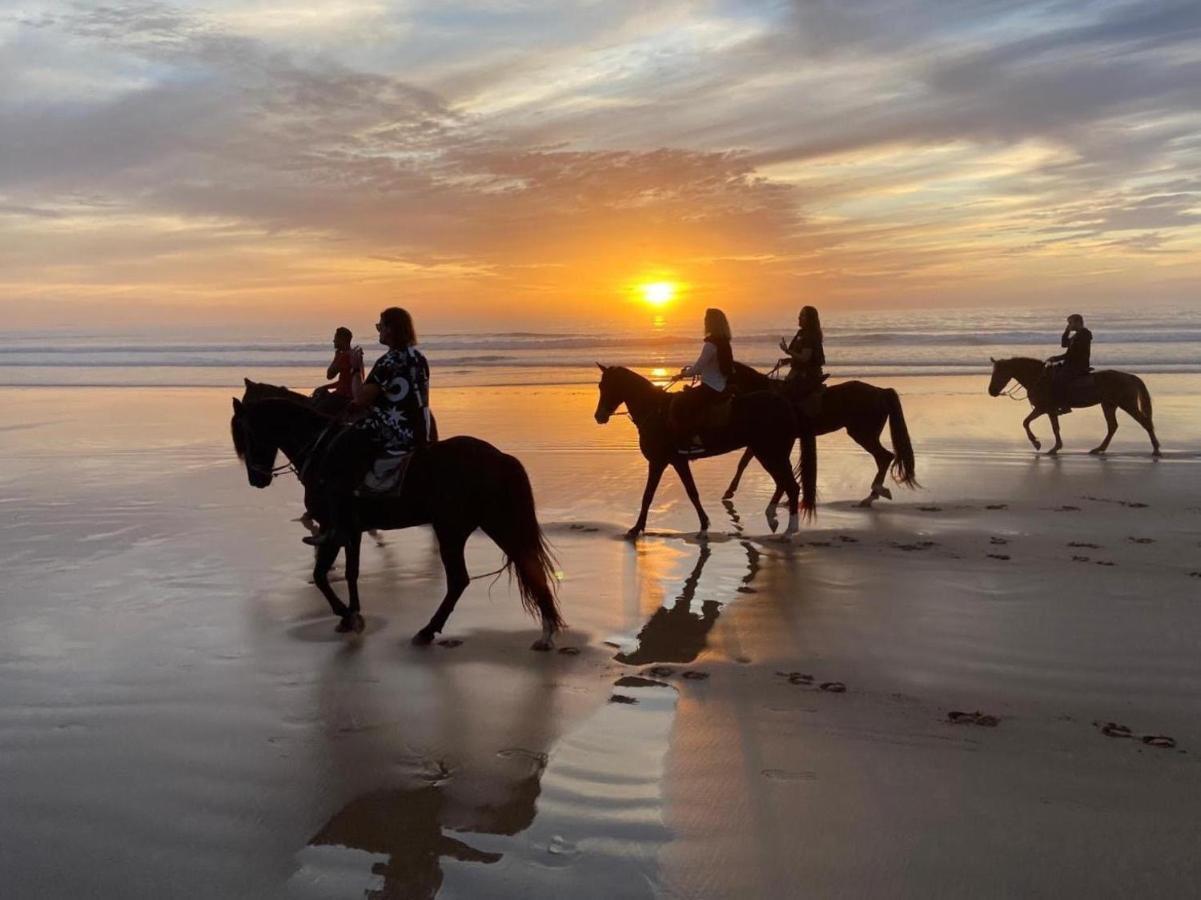 Essaouira Beach Hostel מראה חיצוני תמונה